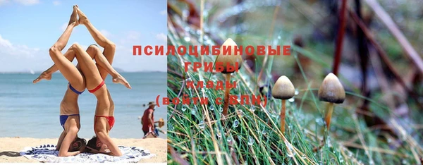 mix Алексеевка