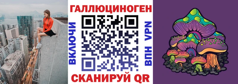 где можно купить наркотик  Красноармейск  Псилоцибиновые грибы Psilocybine cubensis 